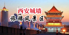 淫熟老骚屄中国陕西-西安城墙旅游风景区