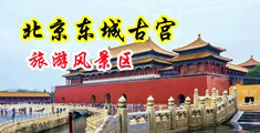 鸡操逼免费视频中国北京-东城古宫旅游风景区